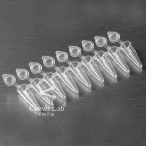 [Axygen] PCR 8스트립튜브& 개별캡 0.2ml 8-Strip and Individual PCR® Tubes