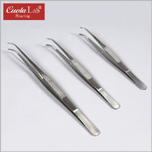 [Hirose] 폿스 스미스 포셉(Potts Smith Forceps)