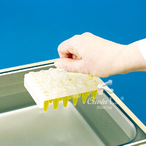 [Bel-Art ] 플로팅 랙(Economic Floating Rack)