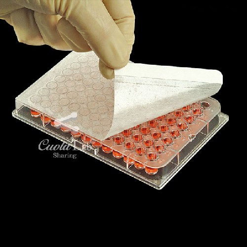 [Axygen] 접착성필름 (Adhesive Films)