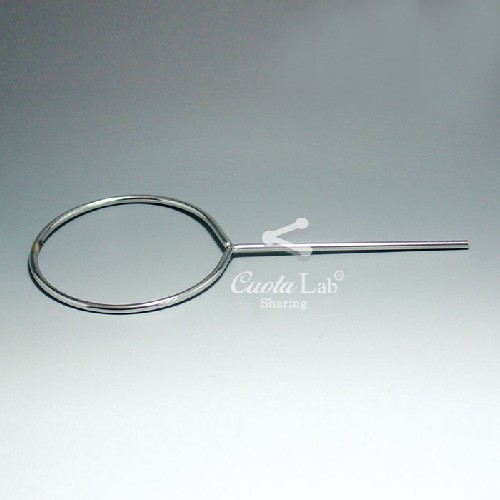 익스텐션 링(Extension-Type Rings)