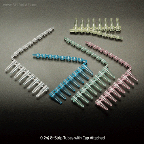 Amplitube TM PP PCR Reaction Tube Strip, Attached 8 Domed Cap Strips, -196℃~+121℃With Domed or Flat Cap, Ultrathin Wall, Certified RNase·DNase·Pyrogen·DNA-free, PCR 스트립 튜브,8-캡 스트립 부착형