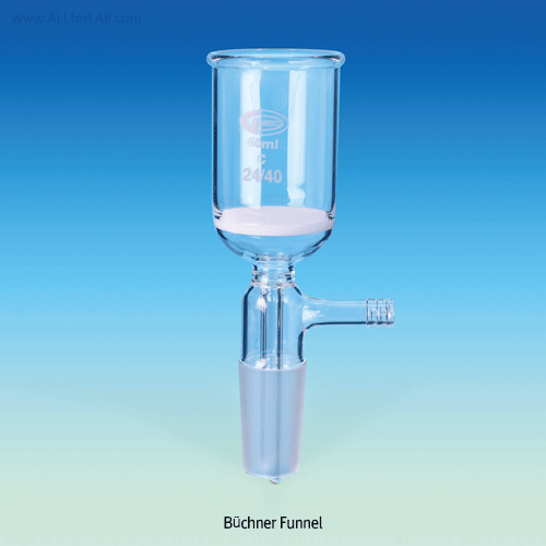 Buchner Funnel, with Fritted Disc & Glass Connection, with Poro. P2 or P3, 30~350㎖With 24/40 Cone & Bidded Rim, Borosilicate Glass 3.3, 진공어댑터부 부후너 펀넬