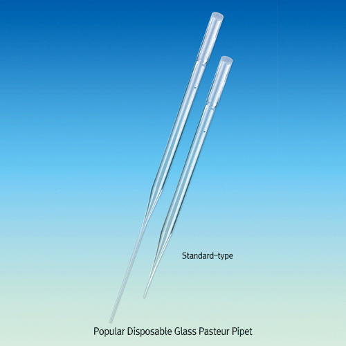Popular Disposable Glass Pasteur Pipet, Boro-glass 7.0, Standard- & Cotton Plugged-type, L146 & 229mm<br>Suitable for Various Laboratory Applications, 일회용 유리 파스츄어 피펫