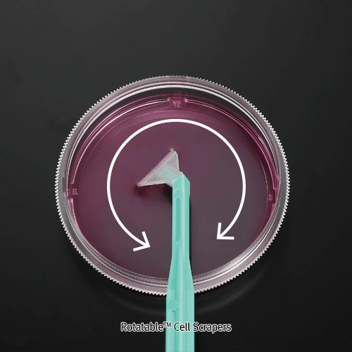 JetBiofil® RotatableTM Cell Scrapers, DNase/RNase-free and Non-pyrogenic, Sterile, 23 & 30cm Made of PE Blade/ABS Handle, Individual Package, 로테이터블TM 셀 스크래퍼