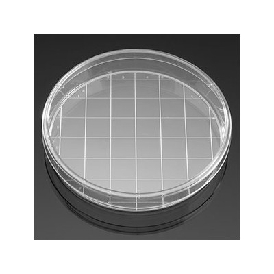 팔콘 쉘컬춰 디쉬 150x25mm Gridded CUFA.353025