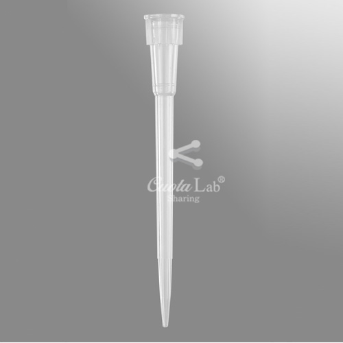 [Axygen] 마이크로 볼륨 팁/ 랙 0.5-20ul Microvolume Tips/Racks(Eppendorf Type)