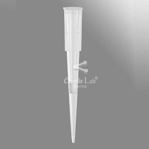 [Axygen] 20ul 필터 팁/랩 0.5-20ul Filter Tips/Racks