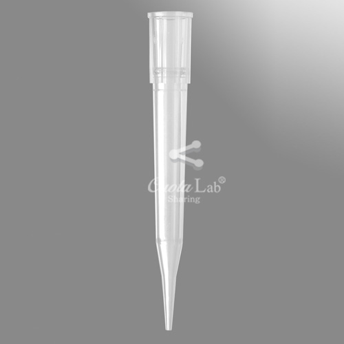 [Axygen] 300ul 클리어 팁/랩 1-300ul Clear Tips/Racks _Fine-Point