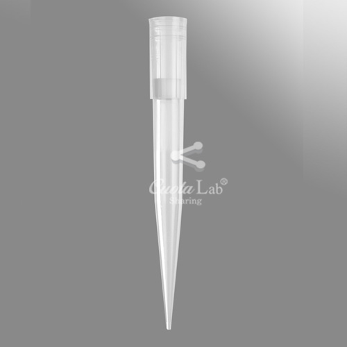 [Axygen] 100-1000ul 필터팁&랙 100-1000ul Filter Tips/ Racks