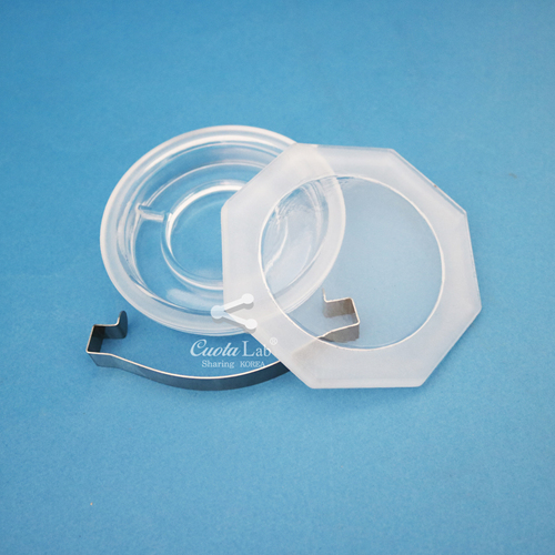 콘웨이디쉬(Dish, Conway)