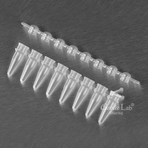 [Axygen] 0.2ml PCR 8 스트립 튜브, 캡 0.2ml 8-Strips PCR® Tubes & Cap