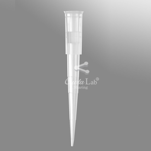 [Axygen] 1-200ul 팁/랙 1-200ul Filter Tips/ Racks