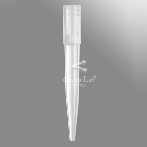 [Axygen] 1000ul 클리어 와이드보어 필터 팁/랙 100-1000ul Wide Bore Filter Tip Racks