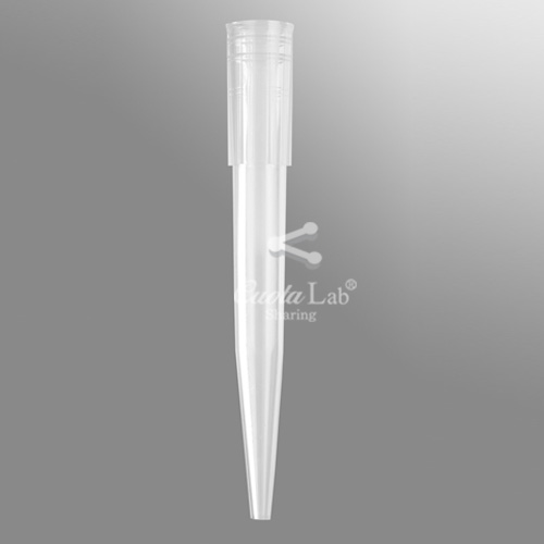 [Axygen] 클리어 팁/랙 100-1000ul Clear Tips/Racks (Wide Bore)