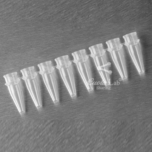 [Axygen] 0.2ml PCR 8 스트립 튜브 0.2ml 8-Strups PCR Tubes