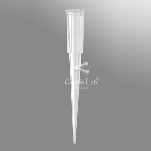 [Axygen] 1-200ul 클리어 레퍼런스 팁/랙 1-200ul Reference Tips/Racks_Bevelled