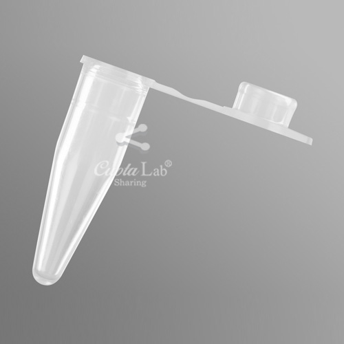 [Axygen] 0.2ml PCR 튜브 평면 캡 0.2ml PCR Tube_Flat cap