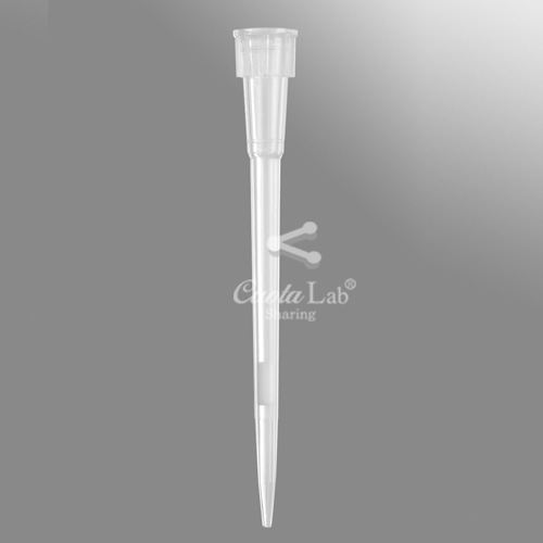 [Axygen] 0.5-10ul 필터팁&랙 (에펜돌프 타입) 0.5-10ul Filter Tips/ Racks (Eppendorf Type)