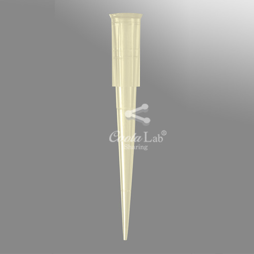 [Axygen] 1-200ul 옐로우 레퍼런스 팁/랙 1-200ul Yellow Reference Tips/Racks_Find-Point