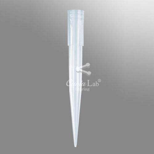 [Axygen] 블루팁/랙 100-1000ul Blue Tips/Racks(Bevelled)