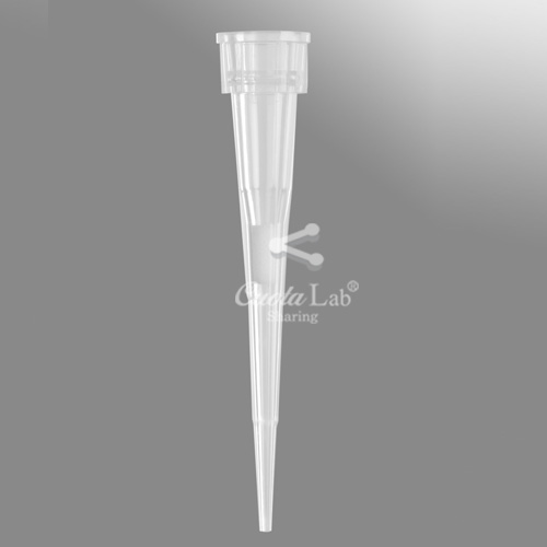 [Axygen] 0.5-10ul 필터팁&랙 0.5-10ul Filter Tips/ Racks